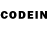 Псилоцибиновые грибы GOLDEN TEACHER Dylan Lemings