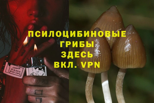 герыч Верея