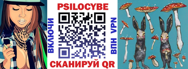 где купить наркотик Печоры Галлюциногенные грибы Magic Shrooms