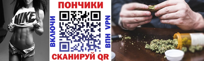 Конопля план  Печоры 